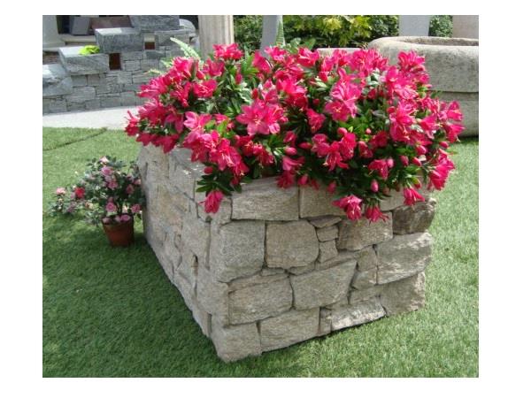 FIORIERA GNEISS ORO 94X64